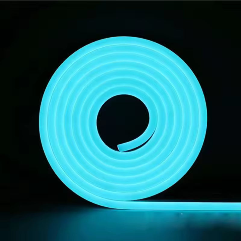 Aesthetic Neon Rope light - 5M